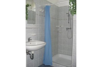 Madjarska Privát Buzsák, Eksterijer